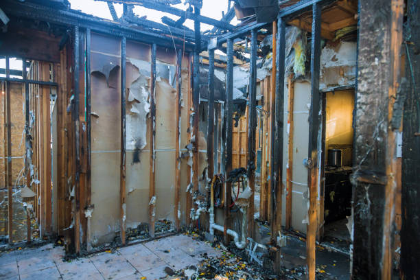Professional Odor Removal technician working in Green Isle, MN