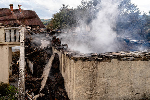 Affordable Odor Removal solutions in Green Isle, MN