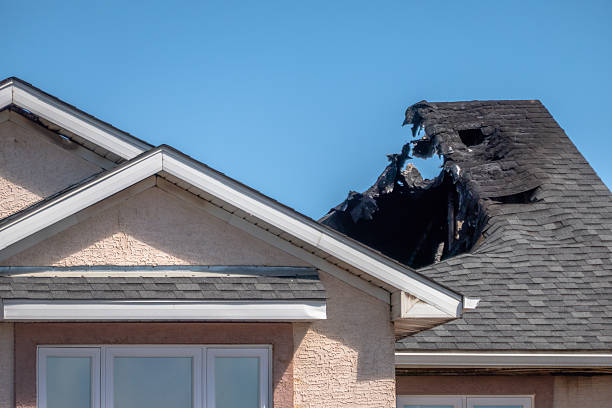 Top rated local Odor Removal specialists in Green Isle, MN